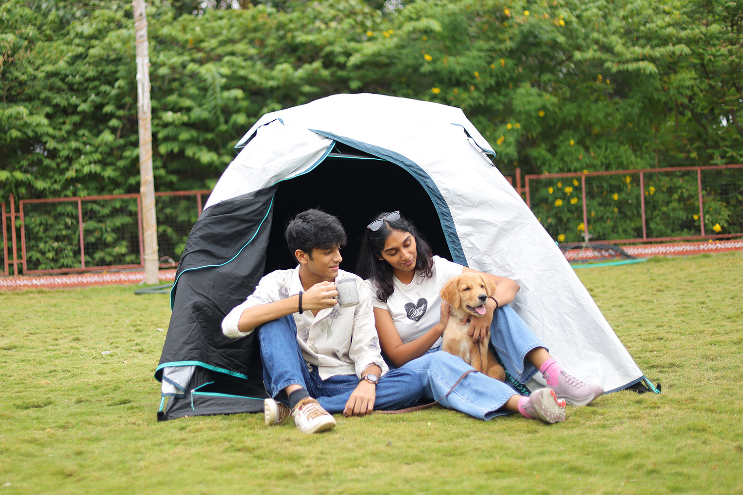 Camping Tents 01